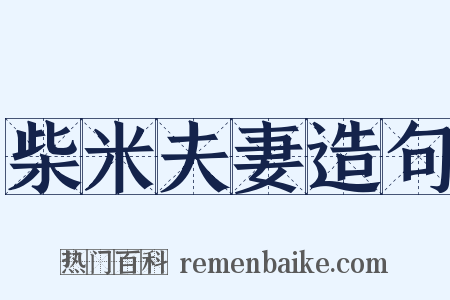 柴米夫妻造句是什么意思的图片